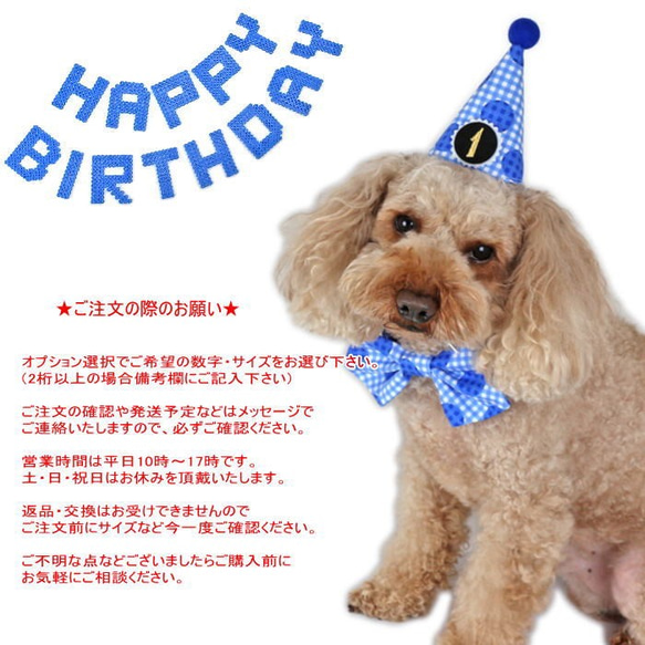 お誕生日3点セット★青★チェック×ドット とんがり帽子・ガーランド・蝶ネクタイ☆犬 猫 ペット バースデー 10枚目の画像