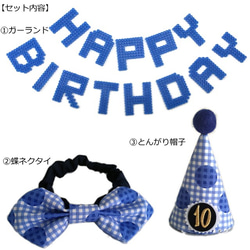 お誕生日3点セット★青★とんがり帽子・ガーランド・蝶ネクタイ☆10歳以上 犬 猫 ペット バースデー 2枚目の画像