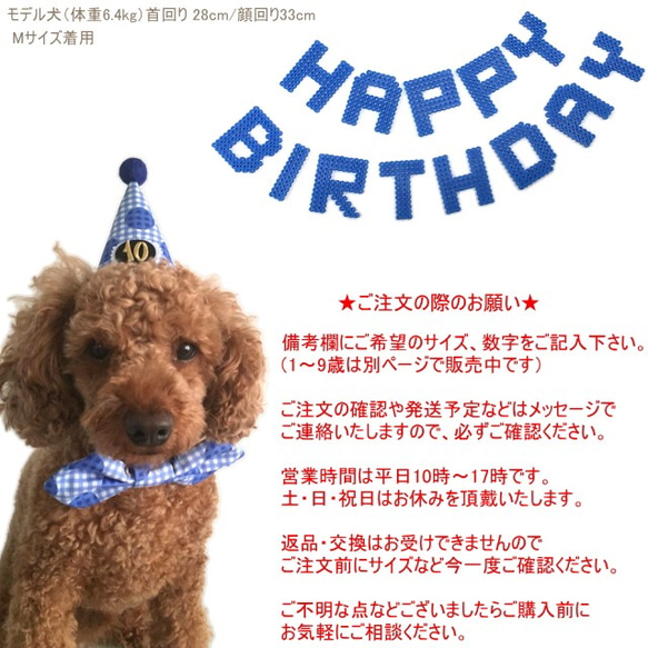 お誕生日3点セット★青★とんがり帽子・ガーランド・蝶ネクタイ☆10歳以上 犬 猫 ペット バースデー 5枚目の画像