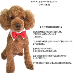 犬猫用 蝶ネクタイ付きシャツカラー ★ホワイト★つけえり 【S～LLサイズ】ペット 結婚式 タキシード リボン 9枚目の画像