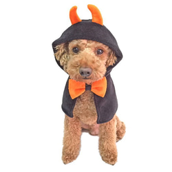 ハロウィン コスプレマント 小悪魔ポンチョ【S/M】あったか フリース コスチューム 犬 猫 ペット 衣装 6枚目の画像