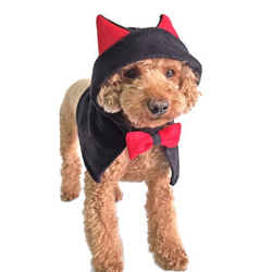 ハロウィン コスプレマント 猫耳ポンチョ【S/M】 フリース コスチューム 黒猫 衣装 ペット 犬 猫 7枚目の画像