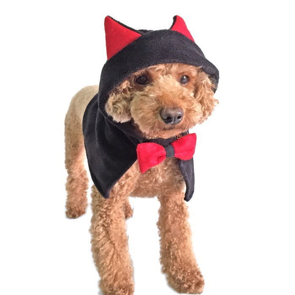 ハロウィン コスプレマント 猫耳ポンチョ【S/M】 フリース コスチューム 黒猫 衣装 ペット 犬 猫 7枚目の画像