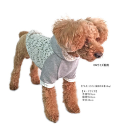 犬服 レース切替グレーパーカー【3S～2L/ダックス/フレブル】あったか 花柄 トレーナー 犬 服 冬 6枚目の画像