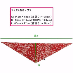  第3張的照片