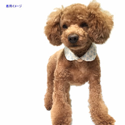 犬猫用付け襟 コットン小花 完成品 即納 【Mサイズ】 3枚目の画像