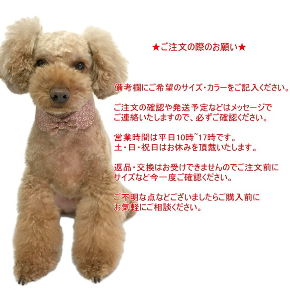 犬猫用付けえり さくら丸衿 リボン付き【S～LLサイズ】ひな祭り 桜 春色 ペット 襟 チョーカー 首輪 花柄 和柄 5枚目の画像