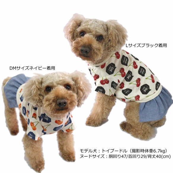 チェリーワンピース 【3S~2L/DS/ダックス/フレブルサイズ】犬服  ワンピ スカート 春 夏 5枚目の画像