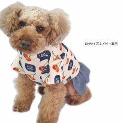 チェリーワンピース 【3S~2L/DS/ダックス/フレブルサイズ】犬服  ワンピ スカート 春 夏 6枚目の画像