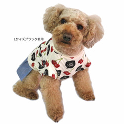 チェリーワンピース 【3S~2L/DS/ダックス/フレブルサイズ】犬服  ワンピ スカート 春 夏 7枚目の画像