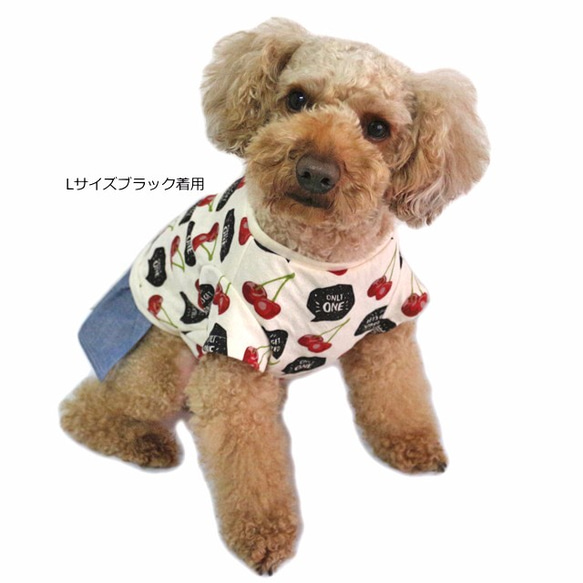 チェリーワンピース 【3S~2L/DS/ダックス/フレブルサイズ】犬服  ワンピ スカート 春 夏 7枚目の画像