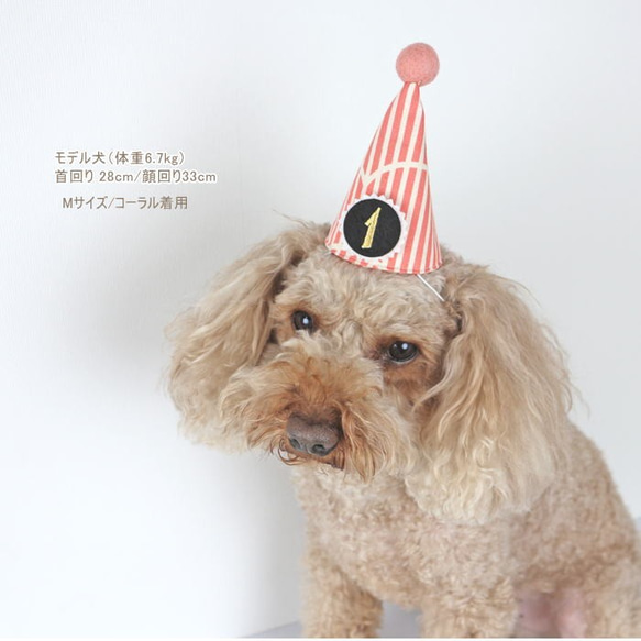 とんがり帽子☆パステルストライプ☆付け替えOKな数字プレート1個付き 誕生日 バースデー 犬 猫 ペット 春色 7枚目の画像