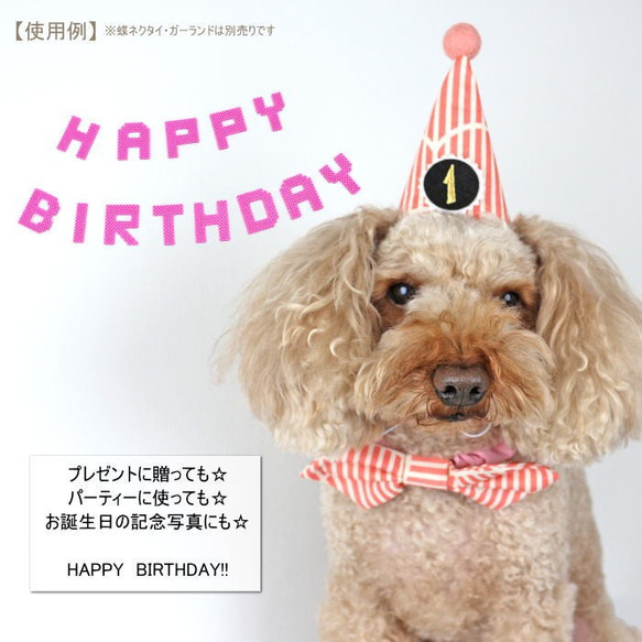 とんがり帽子☆パステルストライプ☆付け替えOKな数字プレート1個付き 誕生日 バースデー 犬 猫 ペット 春色 9枚目の画像