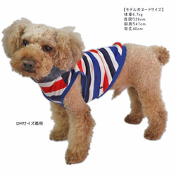 デニム＆トリコパーカー【3S~2L/ダックス/フレブルサイズ】犬服 ドッグウェア 春 夏 5枚目の画像