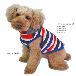デニム＆トリコパーカー【3S~2L/ダックス/フレブルサイズ】犬服 ドッグウェア 春 夏 6枚目の画像