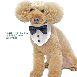 白シャツ風 チェック ブラックウォッチ 犬猫用【S～LL/FB-S～FB-L】ペット タキシード 結婚式 年賀状 衣装 8枚目の画像