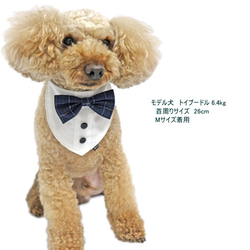白シャツ風 チェック ブラックウォッチ 犬猫用【S～LL/FB-S～FB-L】ペット タキシード 結婚式 年賀状 衣装 9枚目の画像