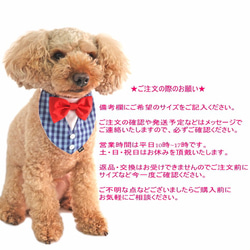 カラーチェックベスト風  ブルー 【S～LL/FB-S～FB-L】犬 猫 タキシード 結婚式 ペット リングドッグ 5枚目の画像