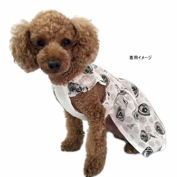 完成品★フリル袖 花柄ワンピース【SSサイズ】 犬服 ドッグウェア わんこ服 5枚目の画像