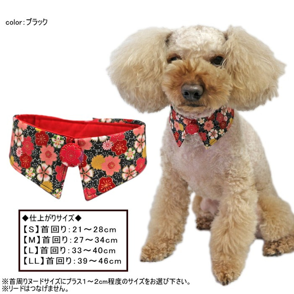 犬猫用 和柄 付けえり 桜金襴【S～LL】節句 ひな祭り お正月 つけ襟 首輪 ペット 2枚目の画像