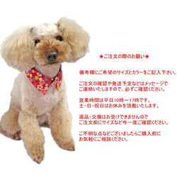 犬猫用 和柄 付けえり 桜金襴【S～LL】節句 ひな祭り お正月 つけ襟 首輪 ペット 6枚目の画像