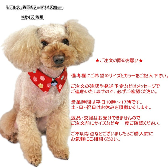 犬猫用 和柄 付けえり 水引　和モダン【S～LL】ひな祭り 節句 お正月  つけ襟　えり　コットン 6枚目の画像