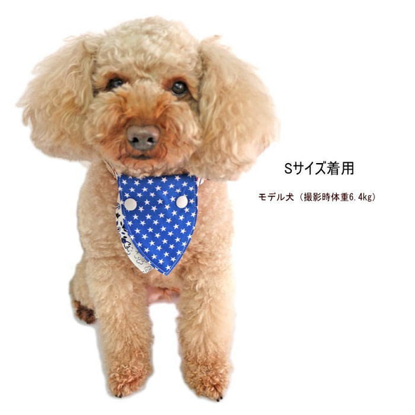 首輪につけるバンダナ ペイズリー×スター 【SS～Mサイズ】犬 猫 ペット 小型犬～中型犬 8枚目の画像