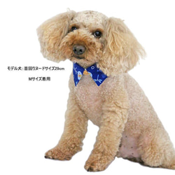 犬猫用 付けえり 浴衣とんぼ 花火【S～LL】 甚平 つけ襟 バンダナ ゆかた トンボ ペット 首輪 9枚目の画像