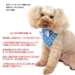 犬猫用 クールバンダナ  デニムスター （保冷剤つき）【S・M・FBサイズ】夏 ペット ストライプリボン 9枚目の画像