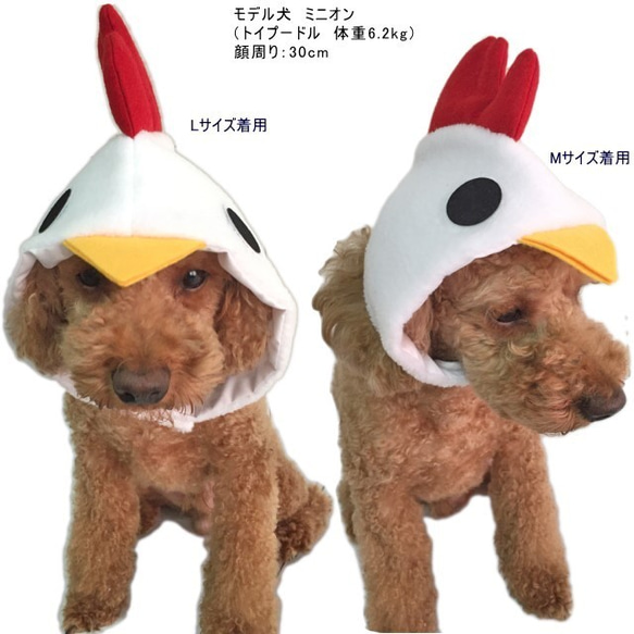 ★完成品★サンプル特価★ にわとりの帽子Sサイズ （フリース）犬猫用  コスプレ 4枚目の画像