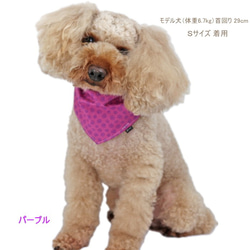 犬猫用 バンダナ うずまき 【S/M/Lサイズ】和柄 ペット 首輪 渦巻 ペット 4枚目の画像