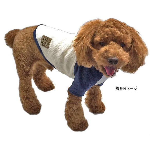 ◆完成品◆ ラグラン切替Tシャツ 【FB-Lサイズ】犬服 フレブル パグ ドッグウェア 3枚目の画像