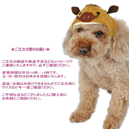 ☆完成品☆イノシシの帽子 犬猫用【M】いのしし 亥年 かぶりもの 干支  