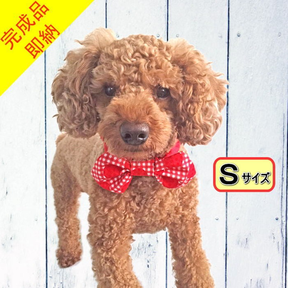 数量限定ハンドメイド2019★完成品★ネックシュシュ 赤 チェック×ドット【S】蝶ネクタイ 犬猫用 ペット リボン 1枚目の画像