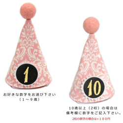 お誕生日3点セット ダマスク柄 ピンク とんがり帽子 蝶ネクタイ リボン バースデー 犬 猫 ペット 記念撮影 春色 4枚目の画像