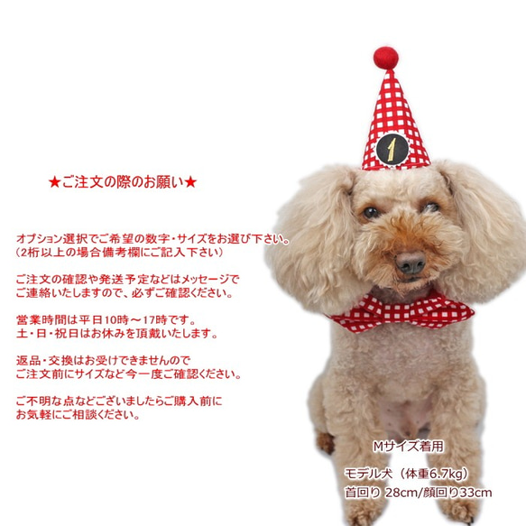 お誕生日3点セット ギンガムチェック レッド とんがり帽子 蝶ネクタイ リボン バースデー 犬 猫 ペット 記念撮影 10枚目の画像