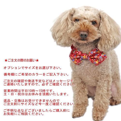 蝶ネクタイ ネックシュシュ 桜金ラメ リボン 犬 猫 ペット 春色 首輪 