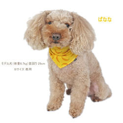 犬猫用 バンダナ フルーツ柄【S/M/Ｌ】春色 スタイ チョーカー 果物 ペット 首 いちご りんご バナナ 暖色系 2枚目の画像