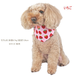 犬猫用 バンダナ フルーツ柄【S/M/Ｌ】春色 スタイ チョーカー 果物 ペット 首 いちご りんご バナナ 暖色系 3枚目の画像