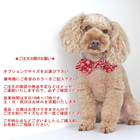 蝶ネクタイ ネックシュシュ ペイズリー柄 リボン バンダナ 犬 猫 ペット 首輪 カラー チョーカー お揃いコーデ 10枚目の画像