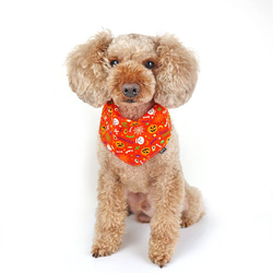 犬猫用バンダナ ハロウィンパーティー2色セット コスプレ 衣装 仮装 かぼちゃ ペット コスチューム 8枚目の画像