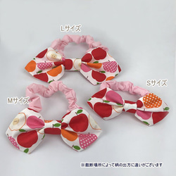 蝶ネクタイ ネックシュシュ りんご フルーツ リンゴ 春色 果物 リボン 犬 猫 ペット 首輪 カラー チョーカー 8枚目の画像
