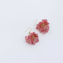 永生花飾品|日本樹脂|14k包金耳飾_迎接幸福 第7張的照片
