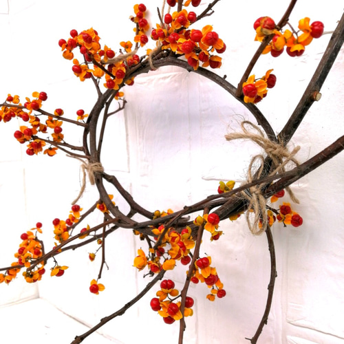 B ツルウメモドキのリース リース アンダーザローズ 通販 12909350