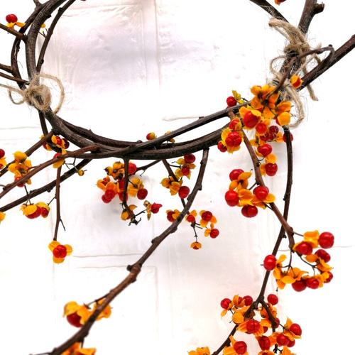 B ツルウメモドキのリース リース アンダーザローズ 通販 12909350