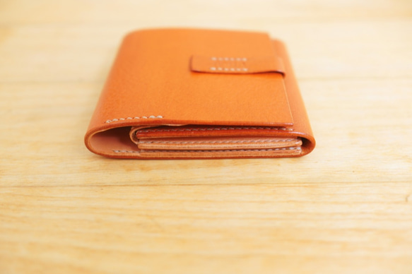 ROMANA2 / Vacanza 〜旅のお供に薄型二つ折り財布〜【受注製作】 6枚目の画像