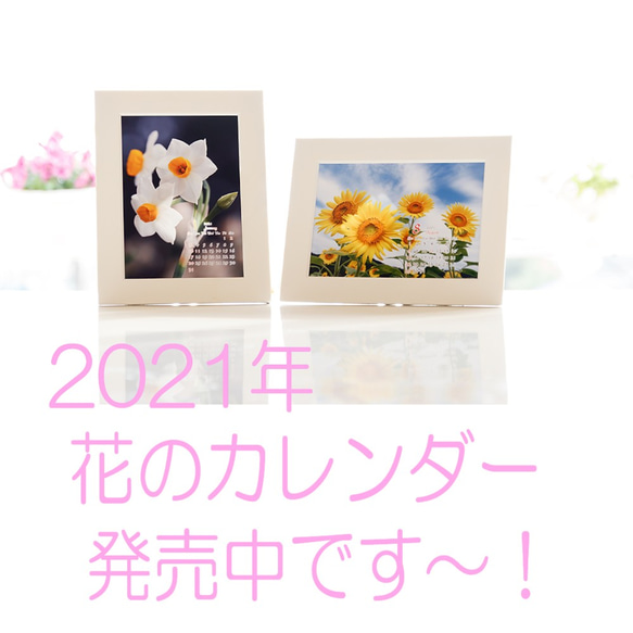 Power of Flower　2021年花のカレンダー２L12枚入り　白い額付き 1枚目の画像