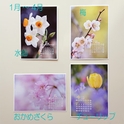 Power of Flower　2021年花のカレンダー２L12枚入り　白い額付き 6枚目の画像