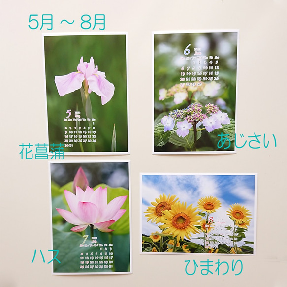 Power of Flower　2021年花のカレンダー２L12枚入り　白い額付き 7枚目の画像