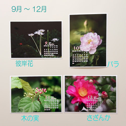 Power of Flower　2021年花のカレンダー２L12枚入り　白い額付き 8枚目の画像